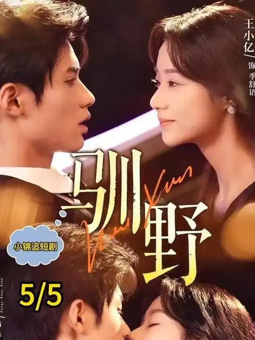 韩剧我的室友是编剧海报